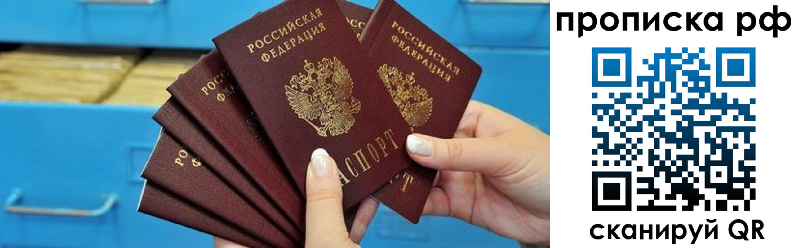 прописка поиск в России